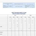 Audit Program Sample